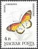 (1984-028) Марка Венгрия "Данаида хризипп"    Бабочки II Θ