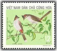 (1973-020) Марка Вьетнам "Краснощёкий настоящий бюльбюль"   Птицы III O