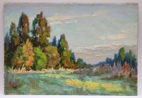 Картина Тулаев В. Н. 1985 г. Летний пейзаж № 1 масло картон 35х25 см