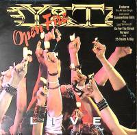 Пластинка виниловая Y & T Open fire A&M Records 300 мм. Near mint
