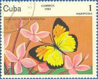 (1984-006) Марка Куба "Белая бабочка"    Бабочки III Θ