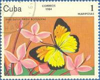 (1984-006) Марка Куба "Белая бабочка"    Бабочки III Θ