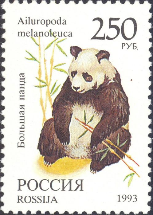 (1993-071) Марка Россия &quot;Большая панда&quot;   Фауна III O