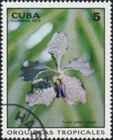 (1973-021) Марка Куба "Ванда гилберт"    Орхидеи II Θ