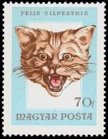 (1966-057) Марка Венгрия "Европейский лесной кот"    Охота III Θ