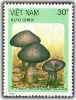 (1987-115) Марка Вьетнам "Паутинник фиолетовый"    Грибы III Θ