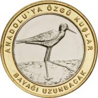 (2019) Монета Турция 2019 год 1 куруш "Ходулочник" Внешнее кольцо жёлтое Биметалл  UNC