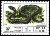 1977-099 Марка СССР Гадюка обыкновенная  Фауна I Θ