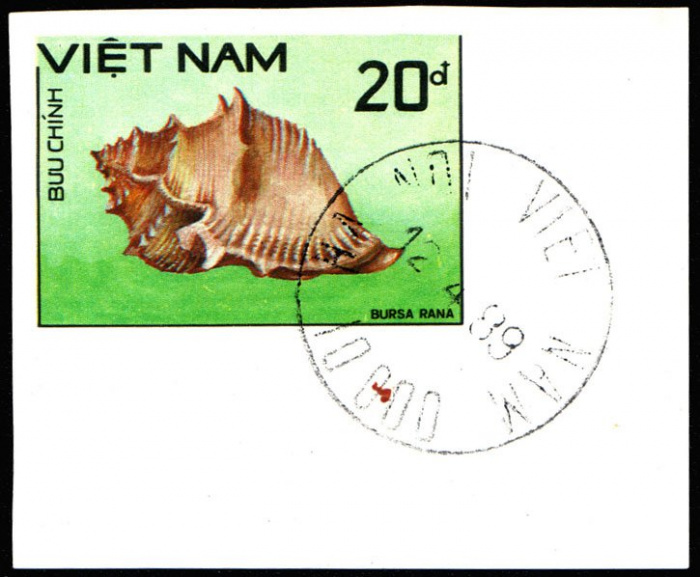 (1988-076a) Марка Вьетнам &quot;Панцирь лягушки&quot;  Без перфорации  Раковины молюсков III Θ