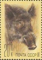 1988-096 Марка СССР Кабан  Животные зоопарков III O