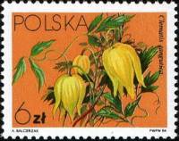 (1984-009) Марка Польша "Ломонос тангутский"    Вьющееся растение III Θ