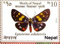 (№2014-1157) Марка Непал 2014 год "Эпистема adulatrix", Гашеная
