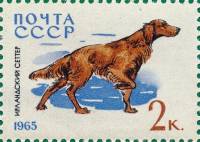 1965-010 Марка СССР Ирландский сеттер   Служебные и охотничьи собаки III Θ