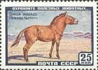 1959-054 Марка СССР Лошадь Пржевальского   Фауна I Θ