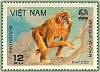 (1981-011a) Марка Вьетнам "Медвежий макак"  Без перфорации  Животные парка Кук Пхонг III Θ