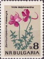 (1963-053) Марка Болгария "Фиалка длинношпорцевая"   Цветы III Θ