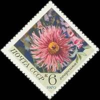 1970-103 Марка СССР Георгины  Цветы III O