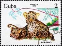 (1979-079) Марка Куба "Леопард"    Животные зоопарка II Θ