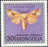 (1974-005) Марка Монголия "Древоточица"    Насекомые Монголии: бабочки III Θ