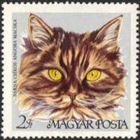 (1968-014) Марка Венгрия "Коричнево-полосатая персидская"    Домашние кошки III Θ