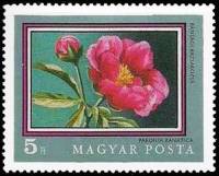 (1971-057) Марка Венгрия "Пион банатский" ,  III O