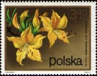 (1972-078) Марка Польша "Рододендрон"    Кустарниковые Цветы II Θ