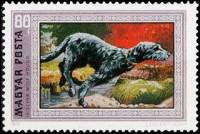 (1972-015) Марка Венгрия "Ирландский волкодав" ,  III O