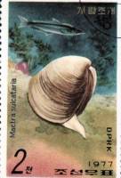 (1977-084) Марка Северная Корея "Китайская мактра"   Морские улитки и рыбы III Θ