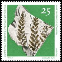 (1973-011) Марка Германия (ГДР) "Папоротник Ботриоптерис"    Музей истории II Θ