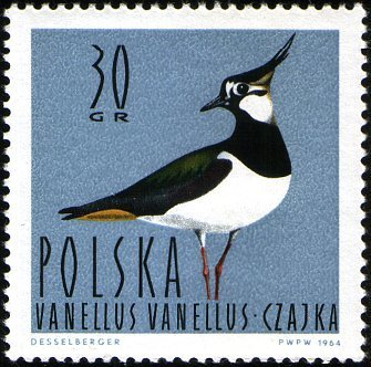 (1964-033) Марка Польша &quot;Чибис (Пигалица)&quot;   Водоплавающие птицы I Θ