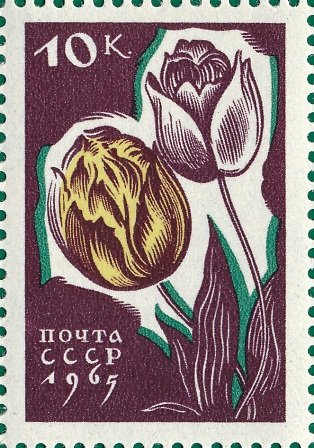 1965-042 Марка СССР Тюльпан   Цветы II O