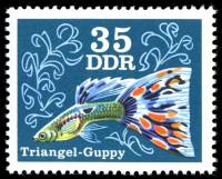 (1976-077) Марка Германия (ГДР) "Треугольный Гуппи"    Декоративные Рыбы II Θ