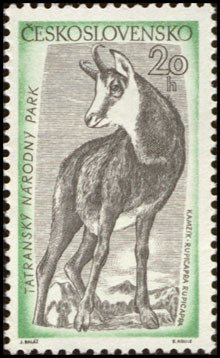 (1957-038) Марка Чехословакия &quot;Серна&quot; ,  III Θ