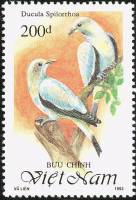 (1992-081) Марка Вьетнам "Императорский голубь Торрезианский"    Голуби III Θ