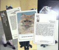 Набор открыток "Кошки", 9 шт., 14*10,5 см., 1991 г.