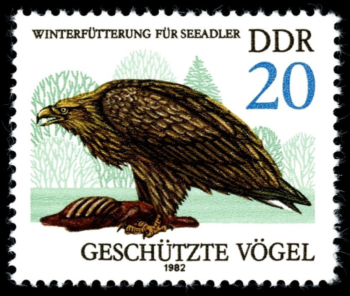 (1982-042) Марка Германия (ГДР) &quot;Орлан-белохвост&quot;    Охраняемые птицы III Θ