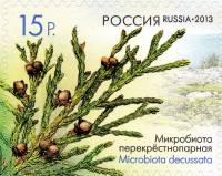 2013-025 Марка Россия Микробиота  Шишки деревьев и кустарников III O