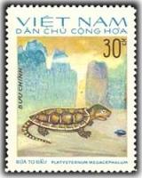 (1975-041) Марка Вьетнам "Большеголовая черепаха"   Рептилии III Θ