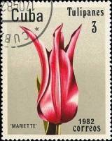 (1982-027) Марка Куба "Мариетта"    Тюльпаны III Θ