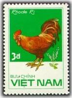 (1986-064) Марка Вьетнам "Красный петух Род-Айленда"    Домашние птицы III Θ