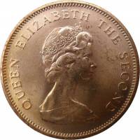 (№1981km47) Монета Джерси 1981 год 2 Pence