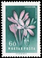(1958-053) Марка Венгрия "Безвременник"    Цветы III Θ