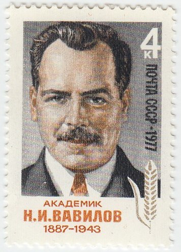 1977-023 Марка СССР Н.И. Вавилов  90 лет со дня рождения III O