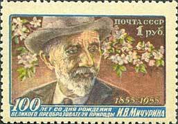1956-045 Марка СССР Портрет (Голубой фон)   И.В. Мичурин. 100 лет со дня рождения I Θ