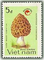 (1990-110) Марка Вьетнам "Сморчок съедобный"    Туризм III Θ