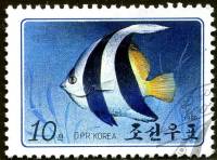 (1986-015) Марка Северная Корея "Белопёрая кабуба"   Рыбы III O