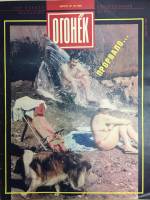 Журнал "Огонёк" 1991 № 33, август Москва Мягкая обл. 33 с. С цв илл