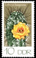 (1974-017) Марка Германия (ГДР) "Лобивия "    Кактусы III Θ