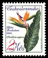 (1980-036) Марка Чехословакия "Стрелитция"    Цветочные выставки III Θ