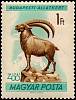 (1961-007) Марка Венгрия "Ибекс"    Зоопарк Будапешта II Θ